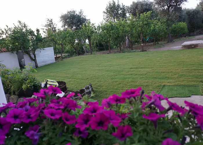 住宿加早餐酒店 Lemon Factor