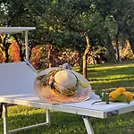 Lemon Factor Bed & Breakfast