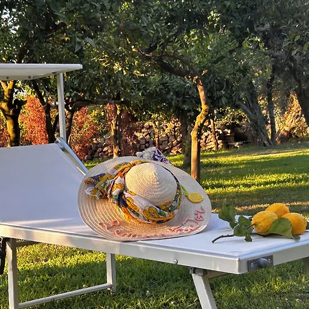 Lemon Factor Bed and breakfast