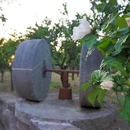 Lemon Factor Bed & Breakfast Sorrento