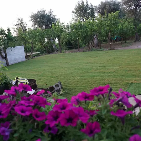 Bed and breakfast Lemon Factor