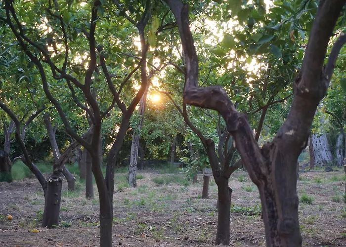 Bed & Breakfast Lemon Factor
