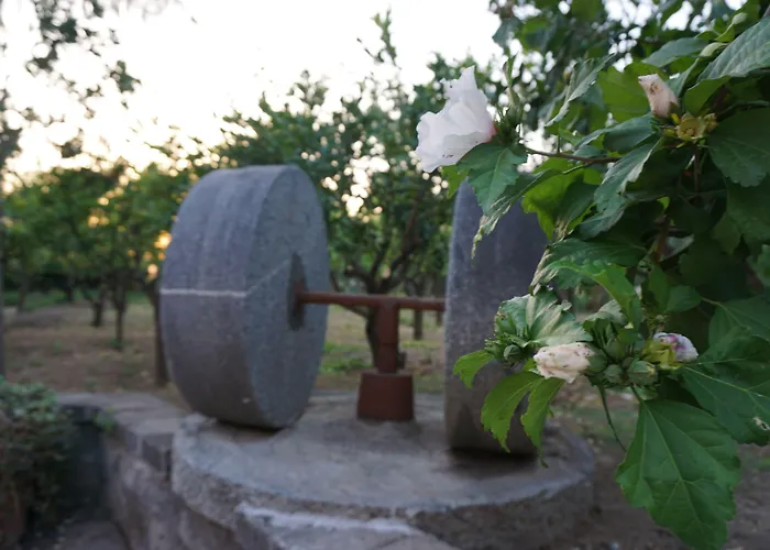 فندق مبيت وإفطار Lemon Factor