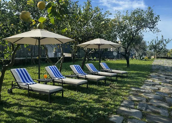 Lemon Factor 4* Σορέντο