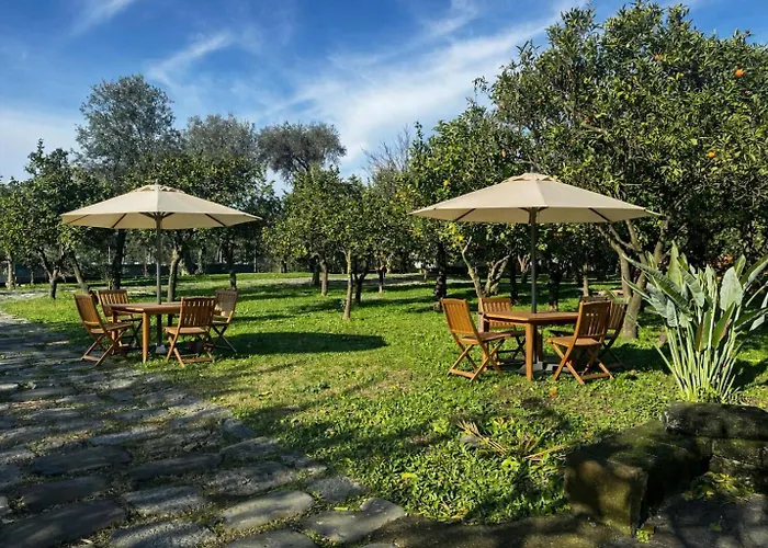 Lemon Factor Bed & Breakfast Sorrento