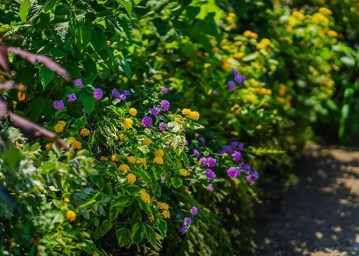 Lemon Factor Отель типа 